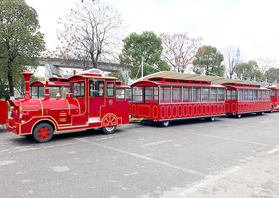 景區(qū)燃油觀光小火車.