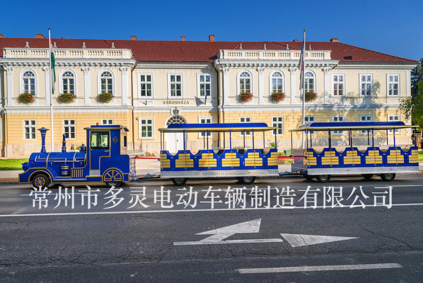 景區(qū)小火車價(jià)格及規(guī)格